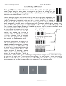 Contrast Sensitivity Handout