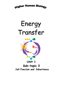 ATP and Energy Transfer