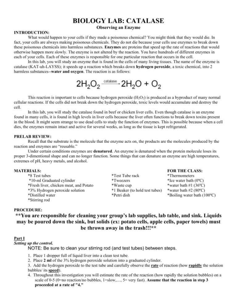 lab-catalase