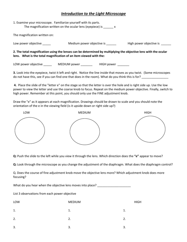 using-the-microscope-worksheet-answers