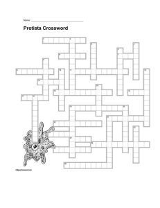 Protista Crossword - rosedale11universitybiology