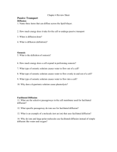 Chapter 4 Review Sheet