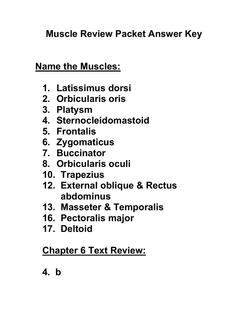 Muscle Review Packet Answer Key