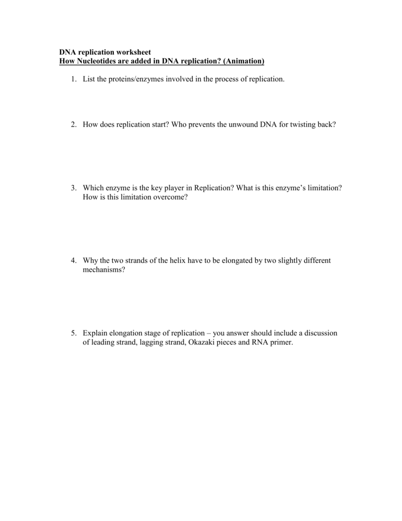 DNA replication worksheet Regarding Dna Replication Worksheet Answers