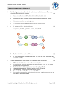 Support worksheet – Chapter 7 - Cambridge Resources for the IB