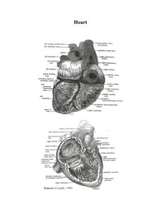 Hemodynamic Disorders, Thrombosis, and Shock