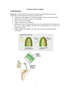 Control systems in plants - GeneralBiology-SN