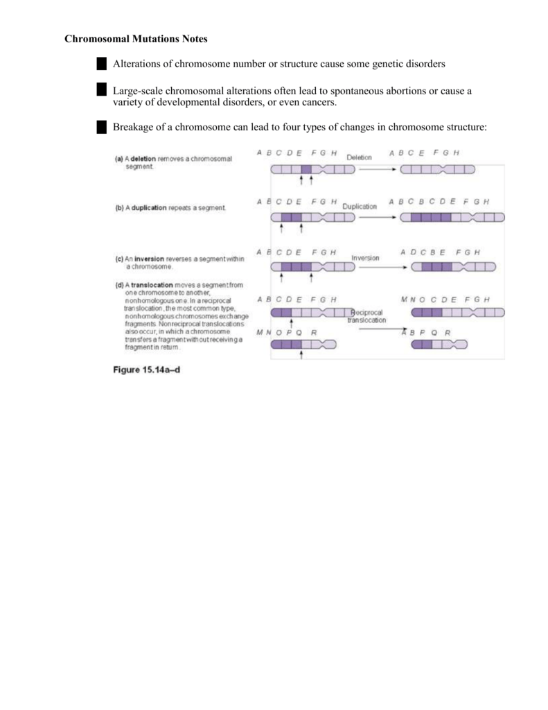 Chromosomal Mutations Notes Alterations of chromosome number In Gene And Chromosome Mutation Worksheet