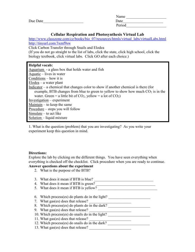 6 Cellular Respiration And Photosynthesis Virtual Lab