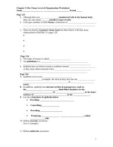 Chapter 5 tissues worksheets