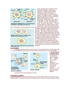 Cell-to-cell signaling is important to both multicellular organims and