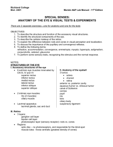 Anatomy of the Eye Visual Tests & Experiments