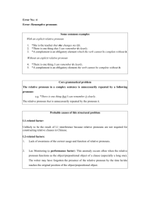 Grammaticality Judgment Questionnaire