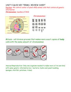 unit 4 quiz key terms- review sheet