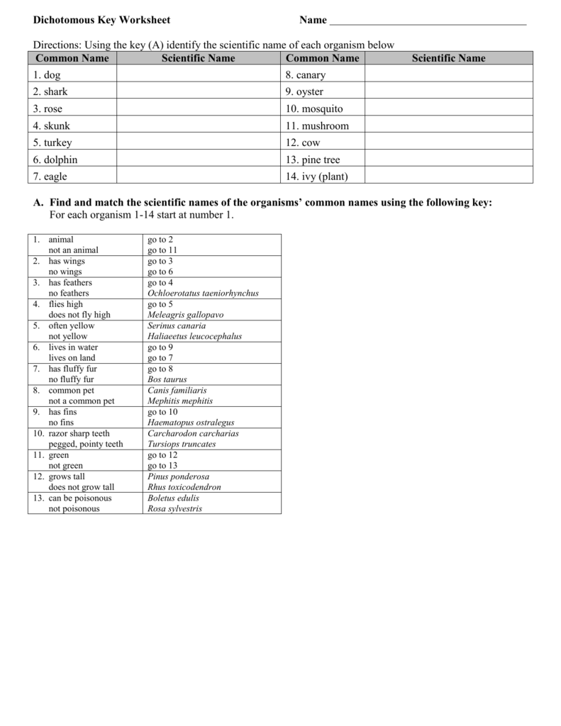 using a dichotomous key