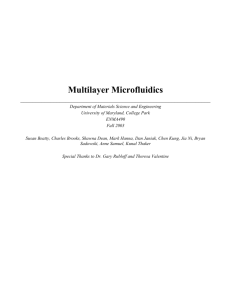 Multilayer Microfluidics - Gary W. Rubloff