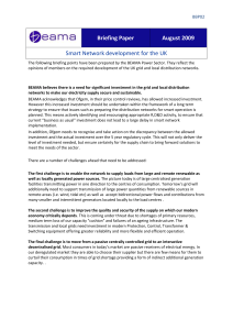 BBP02 Briefing Paper August 2009 Smart Network development for