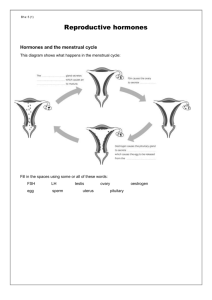 Menstrual cycle worksheets