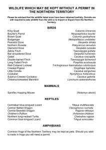 SPECIES WHICH MAY BE KEPT WITHOUT A PERMIT