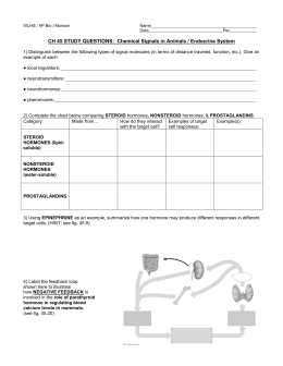 Endocrine System Study Guide Answer Key