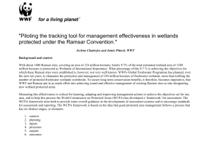 Piloting the Management Effectiveness Tracking tool in
