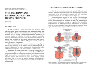 Anatomy_and_Physiolo..