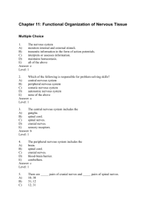 File: Chap011, Chapter 11: Functional Organization of Nervous Tissue