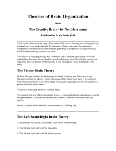 Theories of Brain Organization