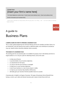 the basics of a business plan