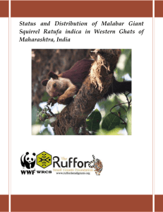 Status and Distribution of Malabar Giant Squirrel Ratufa indica in