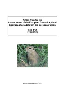 Life span of the European ground squirrel Spermophilus
