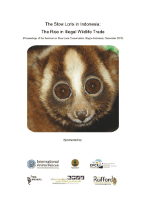 Proceedings of the Seminar on Slow Loris Conservation, Bogor