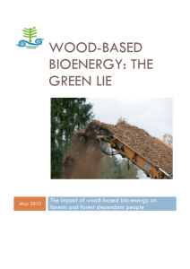 Wood-based bioenergy: the green lie