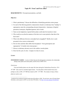 Ferns and Allies 227- 240 incl Charts