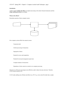 Auditing with the Computer