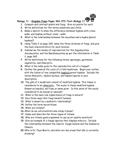 Biology 11 – Kingdom Fungi-Pages 364-373-Text