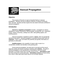 Labmanual Asexual Propagation