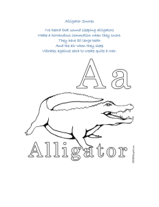 Alligator Snores