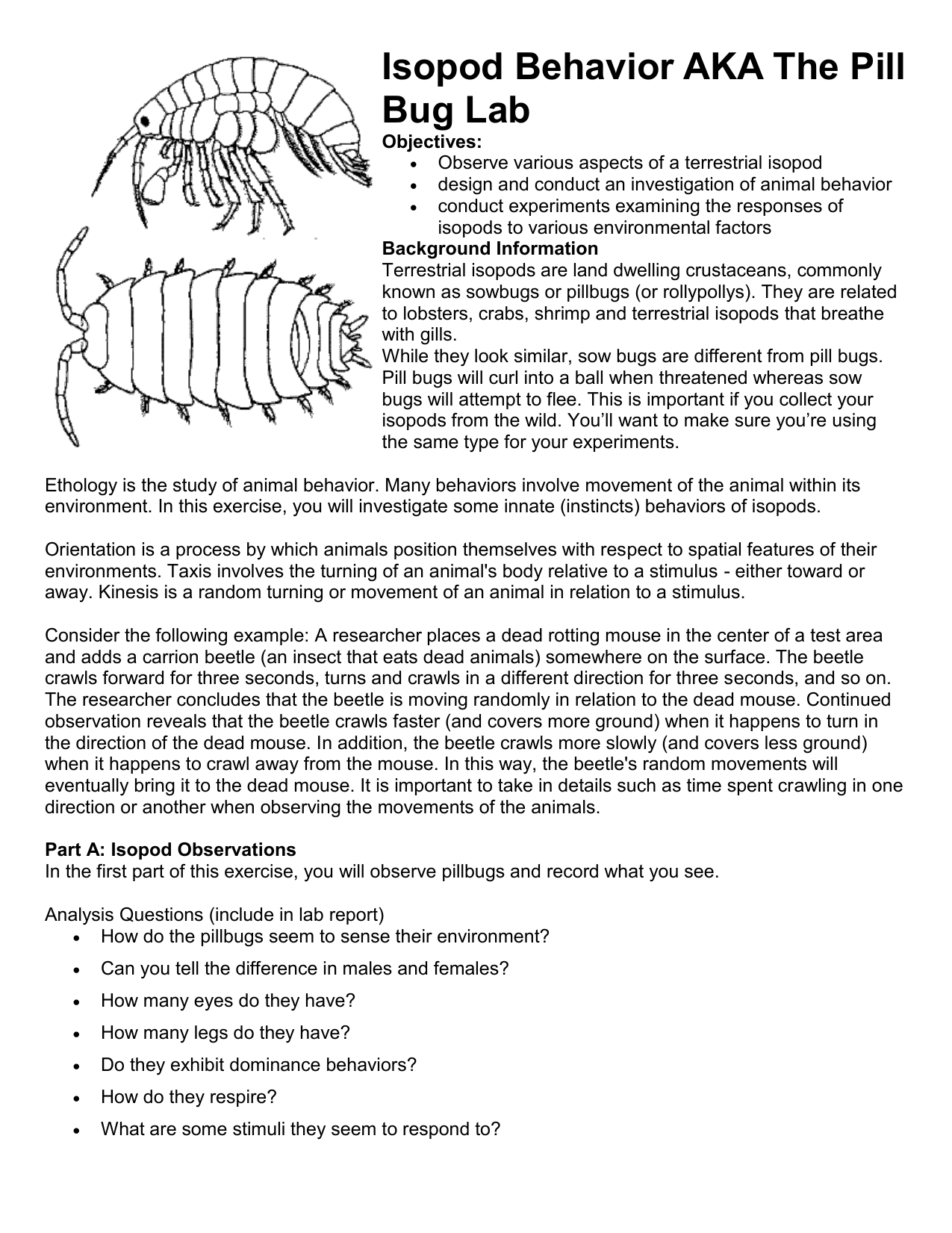 pillbug experiment