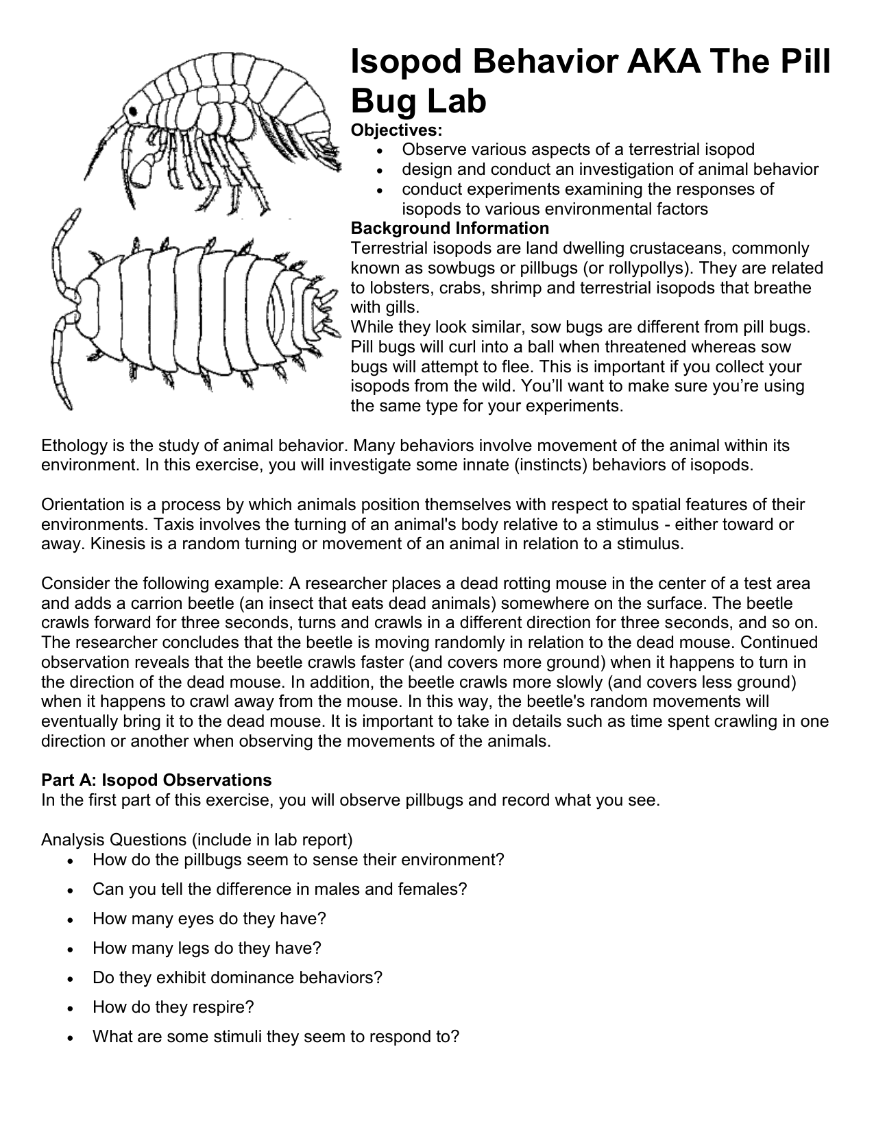 Isopod Behavior Or The Pill Bug Lab