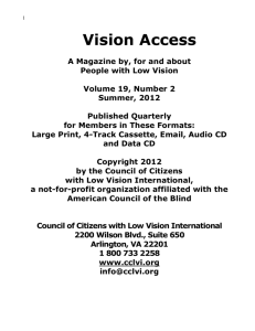 Vision Access - Summer 2012 word format
