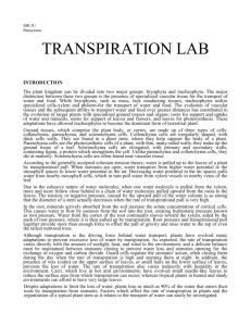 Transpiration_Lab_SBI_4U[1]