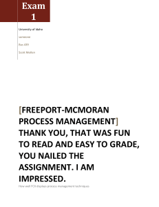 Freeport-McmoRan Process Management