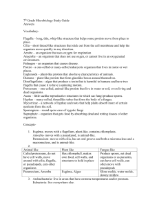 7th Grade Microbiology Study Guide