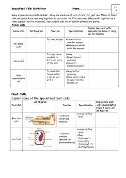 Specialised Cells Worksheet