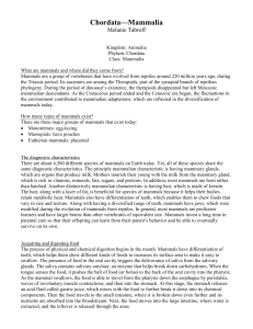 Taxonomy final page - sharon-taxonomy2010-p2