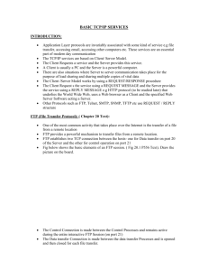 BASIC TCP/IP SERVICES