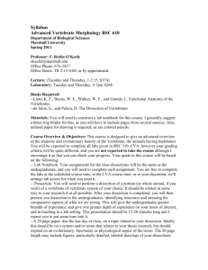 Comparative Vertebrate Anatomy - MU BERT
