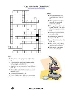 crossword activity can be used to review basic plant and animal cell