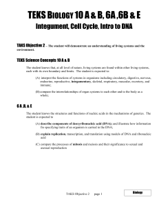 TEKS B. 10 A & B and B. 6 A & B – Skin, Cell Cycle/Mitosis
